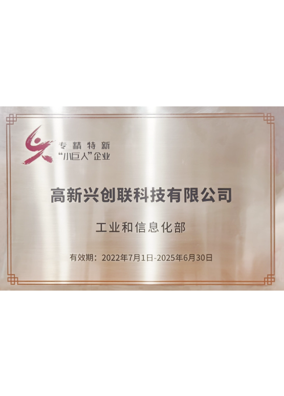 國家專精特新“小巨人”企業